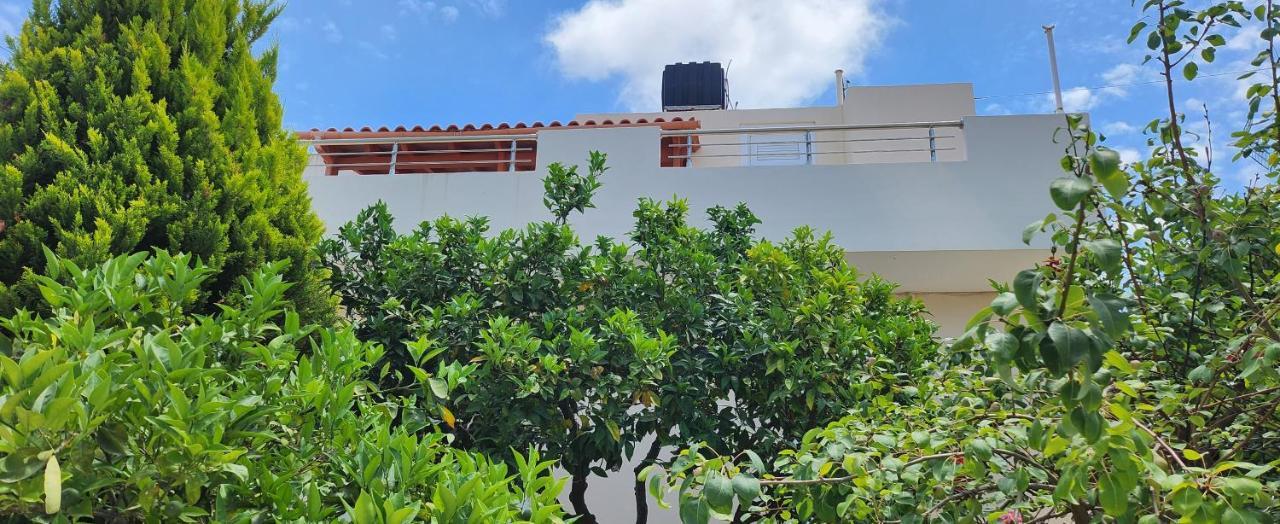 Villa Elli Hersonissos  Exterior photo