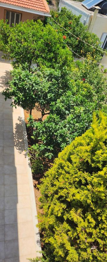 Villa Elli Hersonissos  Exterior photo